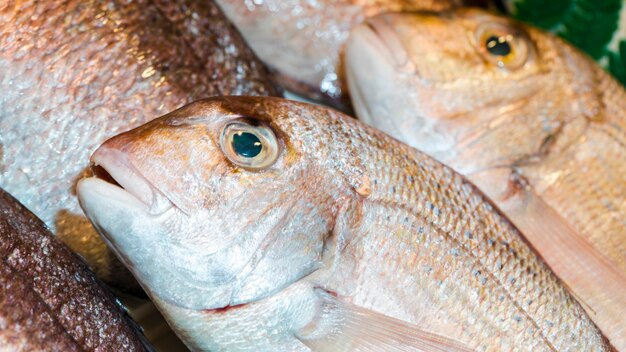 Tiro macro de la pila de pescado fresco