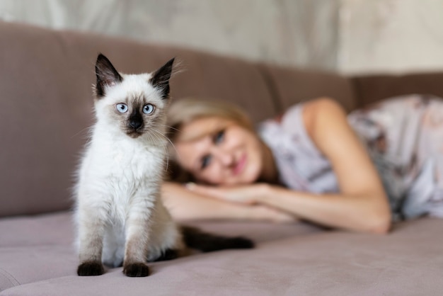 Foto gratuita tiro medio mujer borrosa y lindo gato