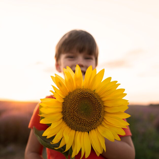 Tiro medio niño sosteniendo girasol