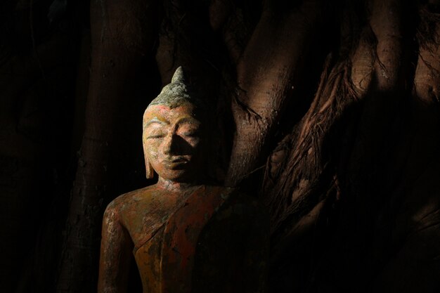 Tiro del primer de una estatua religiosa de Buda de la arcilla en un lugar misterioso espeluznante.