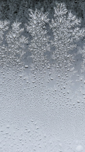 Tiro del primer de la textura hermosa de los copos de nieve de la helada en un vidrio