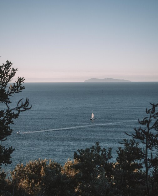 Tiro vertical de árboles cerca del mar con barcos y un cielo despejado