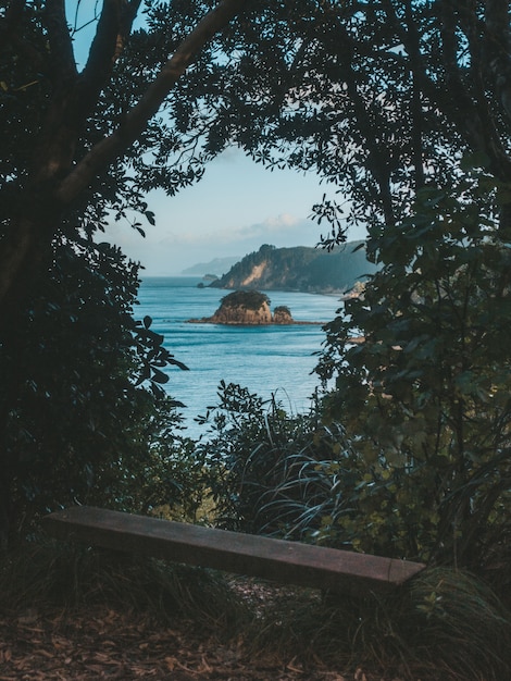 Foto gratuita tiro vertical del banco rodeado de árboles y plantas con una vista del mar y una roca en la distancia