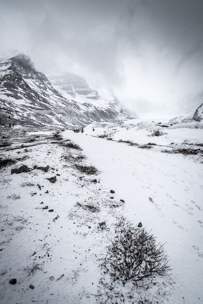 Tiro vertical de un bosque nevado rodeado de colinas bajo el cielo despejado