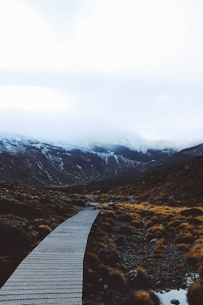 Foto gratuita tiro vertical de un camino de madera con las montañas cubiertas de nieve