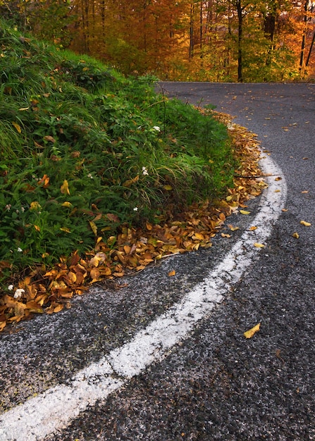 Tiro vertical de un camino sinuoso en la montaña Medvednica en Zagreb, Croacia en otoño