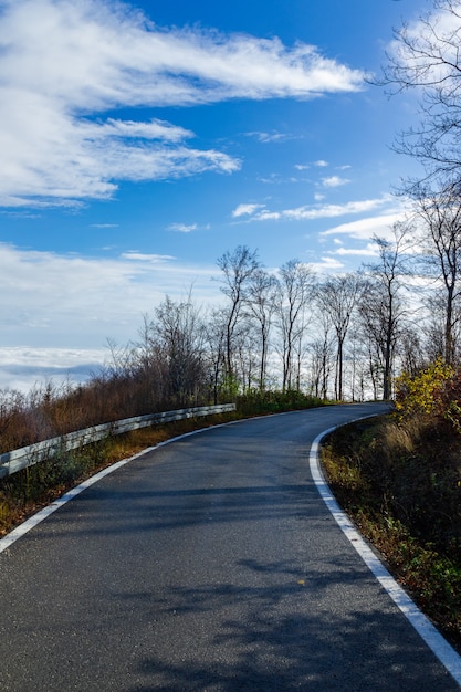Tiro vertical de una carretera estrecha que conduce a la montaña Medvednica en Zagreb, Croacia