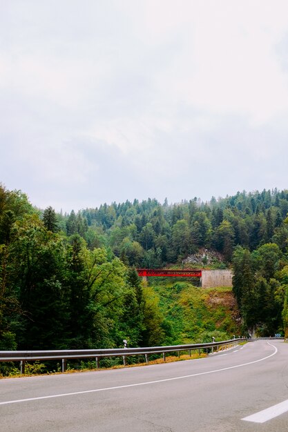 Tiro vertical de una carretera rodeada de hermosos paisajes verdes