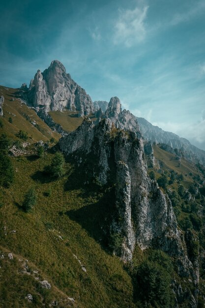 Tiro vertical de una colina cubierta de hierba con árboles cerca de acantilados rocosos y cielo azul