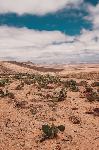 Tiro vertical del desierto bajo el cielo nublado capturado en Marruecos