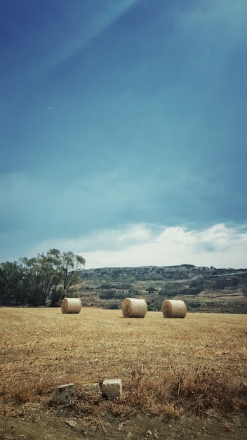 Foto gratuita tiro vertical de hayricks en medio del campo bajo el cielo despejado