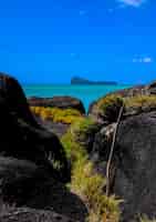 Foto gratuita tiro vertical de hierba en medio de rocas cerca del agua con montaña y cielo azul