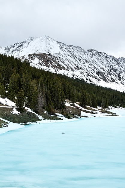Foto gratuita tiro vertical de un mar helado cerca de árboles y una montaña nevada en la distancia bajo un cielo nublado