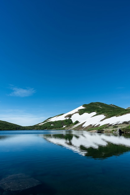 Tiro vertical de una montaña nevada y boscosa cerca del agua con un cielo azul en el fondo