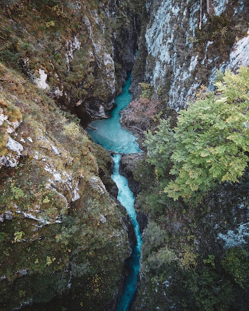 Foto gratuita tiro vertical de ojo de pájaro de un río que fluye a través de las rocas