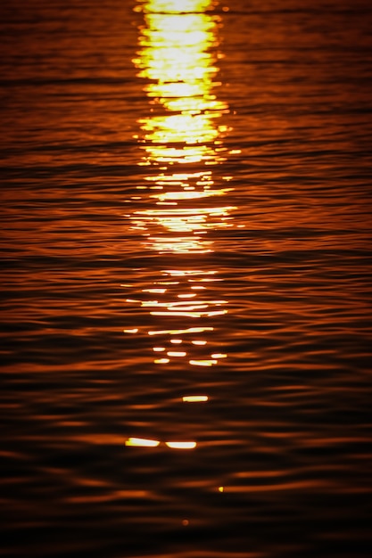 Tiro vertical de las olas del mar que refleja la luz del sol al atardecer