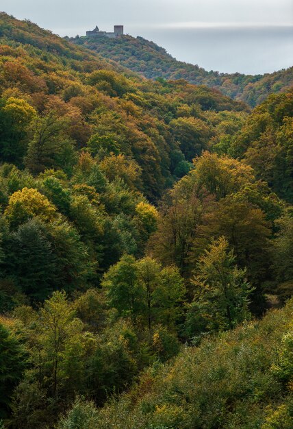 Tiro vertical del otoño en la montaña Medvednica con el castillo Medvedgrad