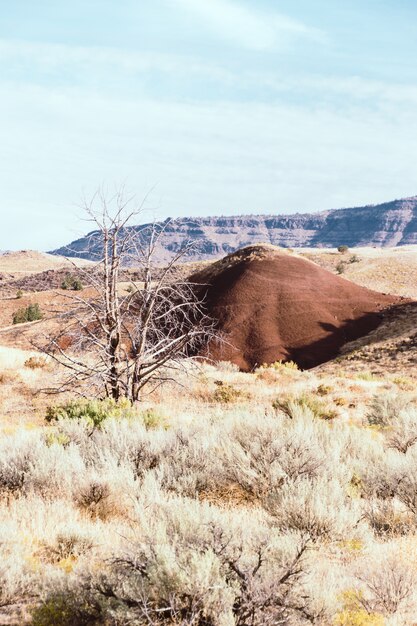 Tiro vertical de una pequeña colina en un campo de hierba seca con altas montañas rocosas en el fondo