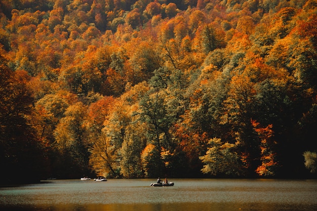 Tiro vertical de personas navegando en un ake verde lleno rodeado de un colorido bosque de otoño