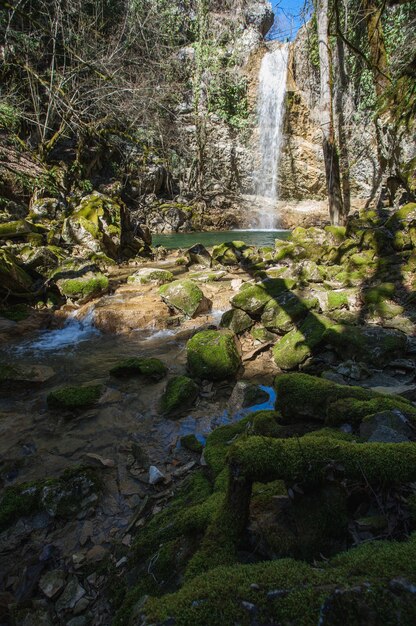 Tiro vertical de piedras cubiertas de musgo en un lago bajo la cascada Butori en Istria, Croacia