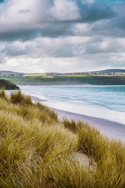 Tiro vertical de la playa cubierta de hierba por el océano tranquilo capturado en Cornwall, Inglaterra