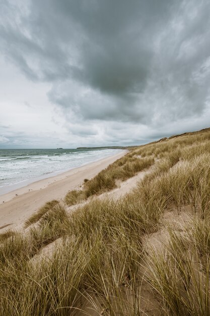 Tiro vertical de la playa cubierta de hierba por el océano tranquilo capturado en Cornwall, Inglaterra