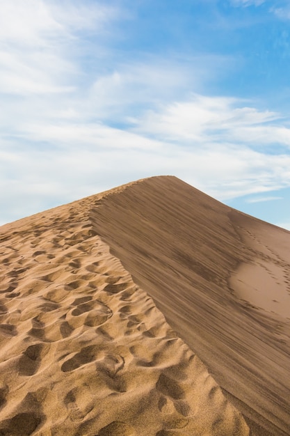 Tiro vertical del primer de un desierto arenoso beige bajo un cielo azul claro