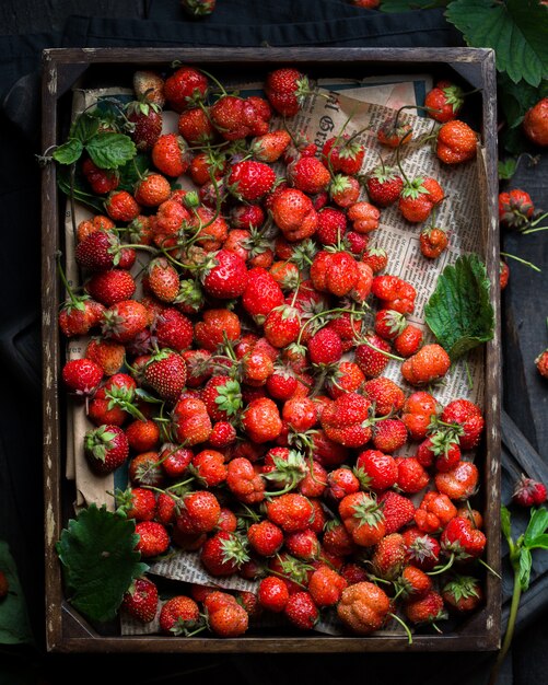 Tiro vertical del primer de un manojo de fresas