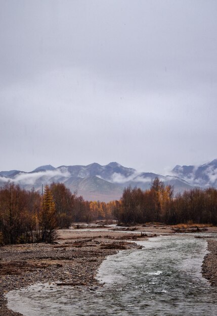 Foto gratuita tiro vertical de un río en medio de un campo con árboles y montañas la distancia
