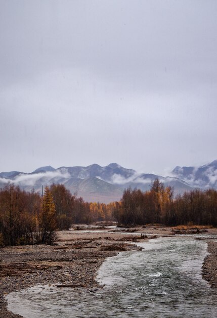 Tiro vertical de un río en medio de un campo con árboles y montañas la distancia