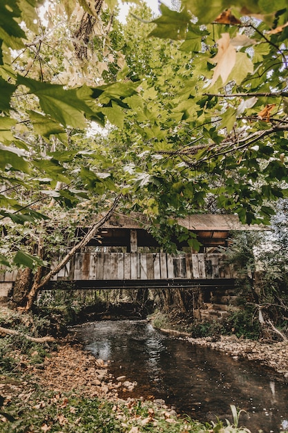 Tiro vertical de un río que fluye bajo un puente cubierto con follaje verde visible