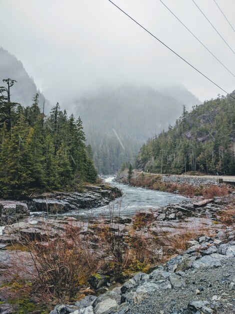 Tiro vertical de un río que fluye a través de montañas brumosas cubiertas de pinos