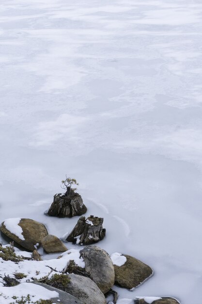 Tiro vertical de rocas nevadas en el agua congelada