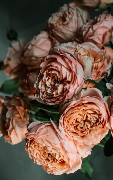 Tiro vertical selectivo hermoso del primer de rosas de jardín rosadas en un florero de cristal