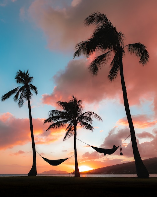 Tiro vertical de siluetas hamacas unidas a palmeras bajo el colorido cielo del atardecer