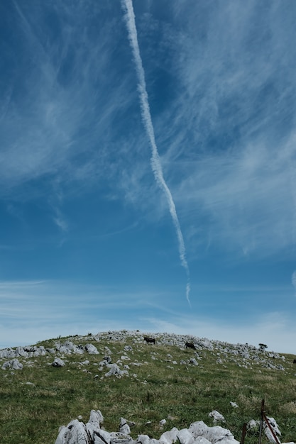 Foto gratuita tiro vertical de vacas pastando en una colina cubierta de hierba y rocas bajo un cielo azul