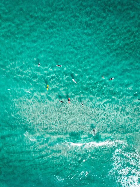 Tiro vertical vertical surfistas con tablas de surf en un mar azul claro