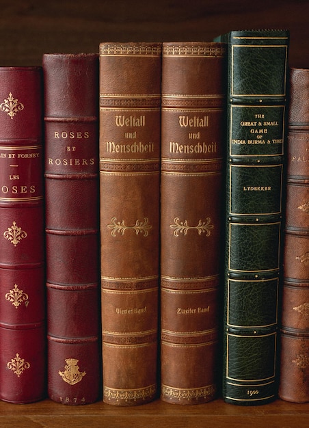 Títulos de libros antiguos, de nuestra propia colección original de biblioteca de dominio público.