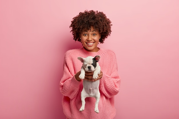 Étnica hermosa mujer alegre te da un pequeño cachorro de bulldog francés, pide que te preocupes por el animal, tiene una sonrisa dentuda, usa un jersey de gran tamaño, aislado sobre una pared rosada.