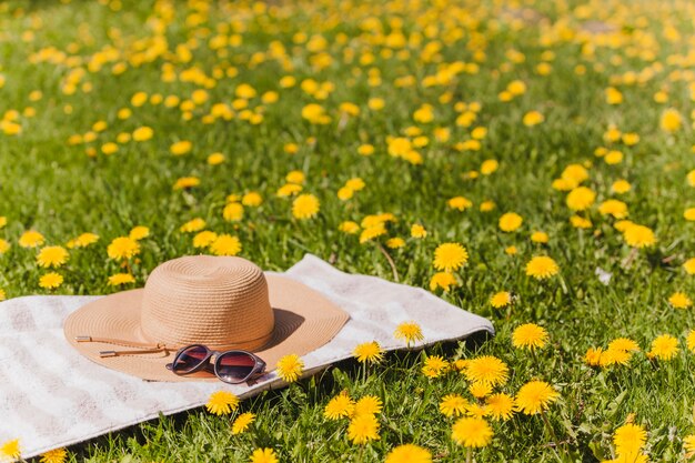 Toalla con sombrero y gafas en el campo 