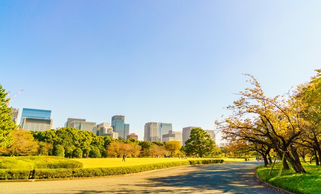 Tokio, Japón paisaje urbano