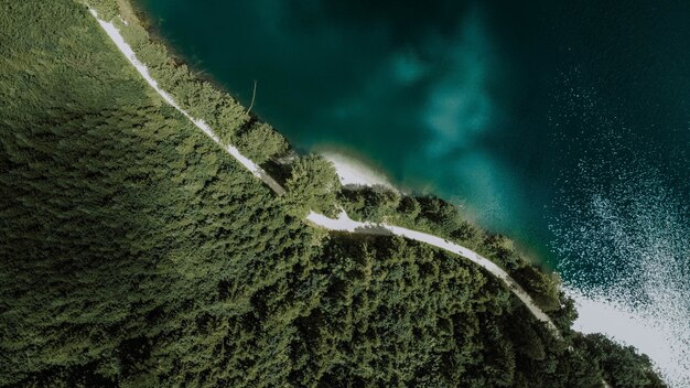 Toma aérea aérea de un largo camino gris que atraviesa un denso bosque junto al agua azul brillante