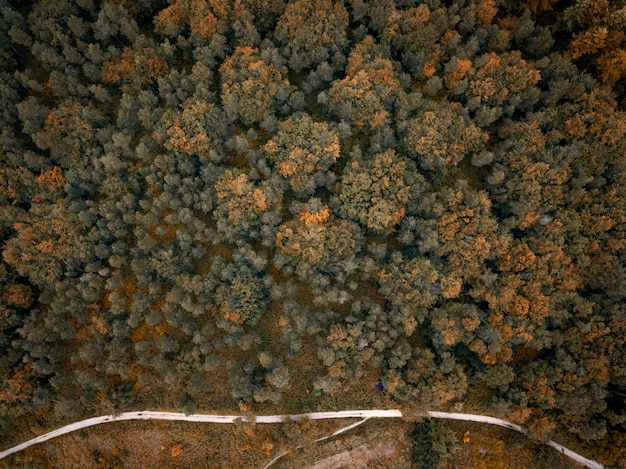 Foto gratuita toma aérea de árboles naranjas y verdes junto a una carretera