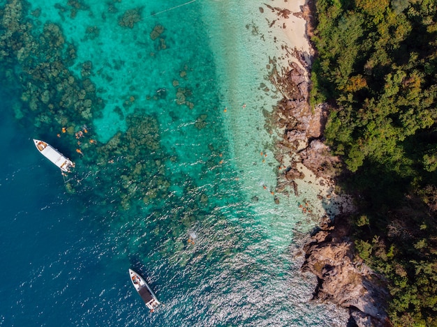 Toma aérea de barcos navegando en el agua cerca de la costa cubierta de árboles durante el día