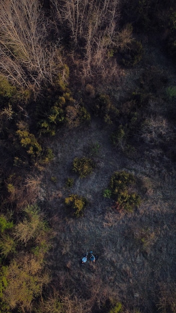 Foto gratuita toma aérea de un bosque con densos árboles - entorno verde