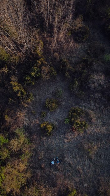 Toma aérea de un bosque con densos árboles - entorno verde