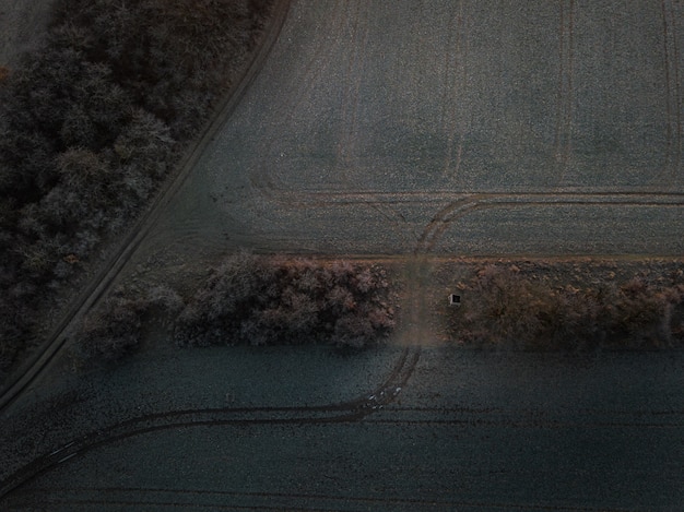 Toma aérea de un campo agrícola con pistas.