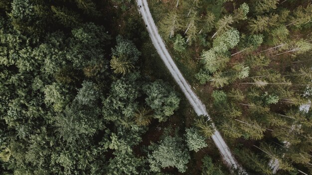 Toma aérea de una carretera rodeada por el bosque durante el día.