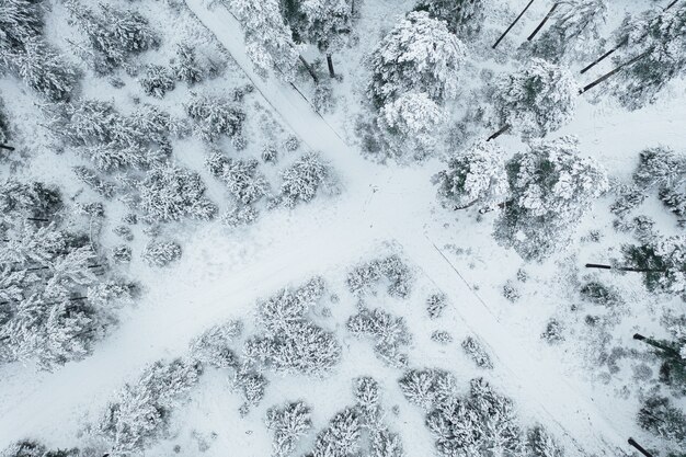 Toma aérea de una carretera rodeada de fascinantes bosques cubiertos de nieve.