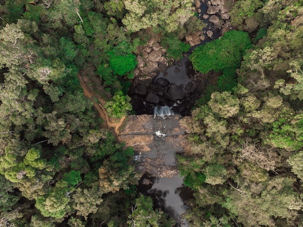 Foto gratuita toma aérea de una corriente de agua rodeada de árboles verdes